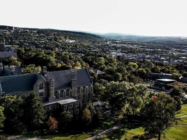 Как выбрать идеальный район для аренды премиум квартиры?