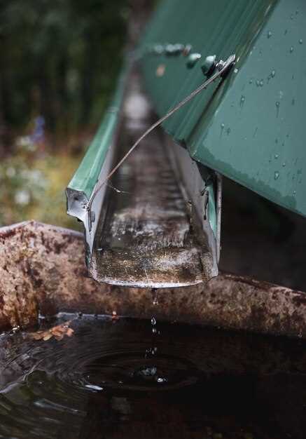 Как организовать систему сбора и хранения дождевой воды