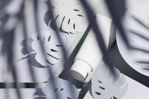 Композиция с элементами света и тени: советы для художников