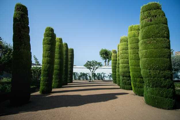 Идеи декорирования сада с использованием малых архитектурных форм