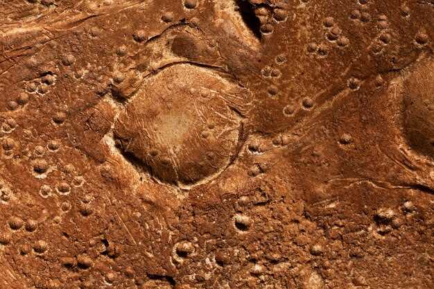 К какому пониманию жизни на Марсе приводят открытия метеоритов