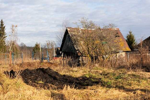 Что влияло на выбор строительных материалов и технологий в разных регионах?