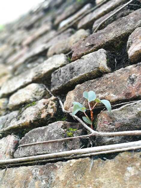 Геосинтетические материалы для стабилизации откосов