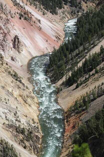 Современные тренды миграции: анализ факторов и направлений