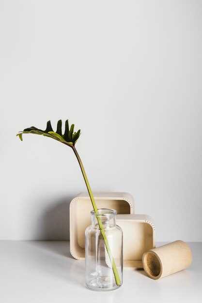 Ключевые характеристики функциональной архитектуры в контексте минимализма