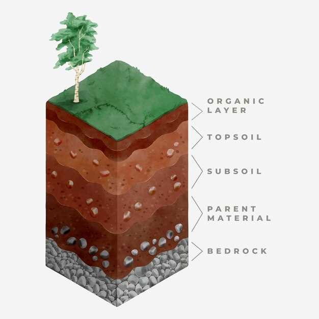 Влияние климатических условий на необходимую толщину засыпки
