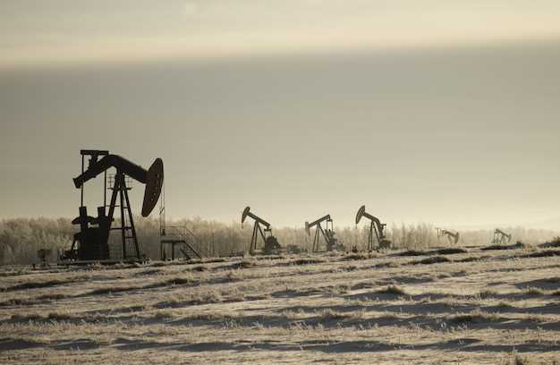 Влияние ОПЕК на нефтяные котировки и производство