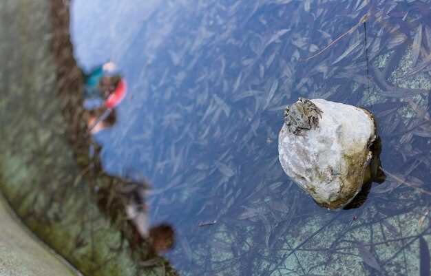 Методы сохранения биоразнообразия морских экосистем