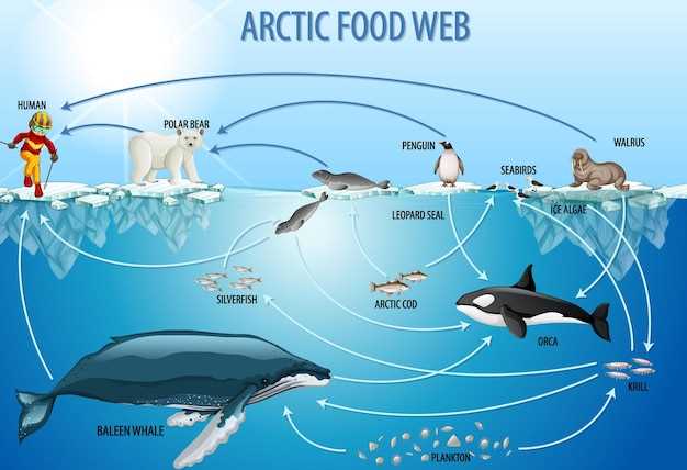 Методы и инициативы по защите и восстановлению морских экосистем