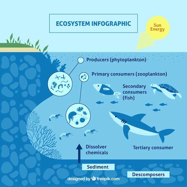 Глобальные климатические изменения и их связь с морскими течениями