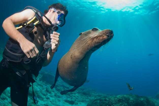 Как морские заповедники защищают биоразнообразие океанов?