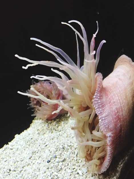 Мелкие моря мира и их влияние на климат и биологическое разнообразие