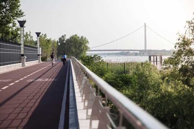 Безопасность и интеграция мостов с велодорожками