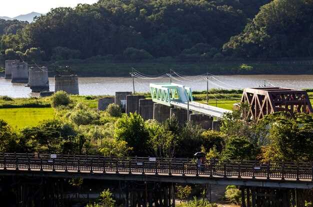 Технологии для сохранения биоразнообразия при строительстве мостов