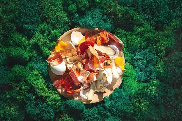 Мусорные острова и их влияние на органическое земледелие