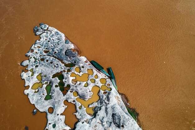 Как мусорные острова изменяют химический состав океанической воды