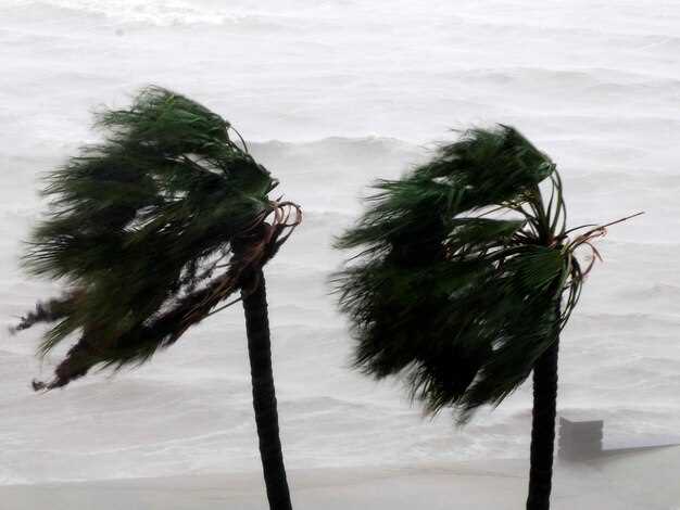 Определение и основные характеристики муссонов