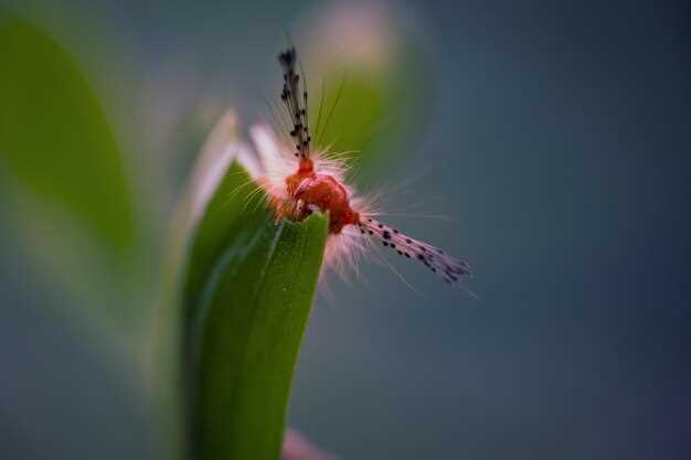 Изменение климата и миграция насекомых: последствия для экосистем