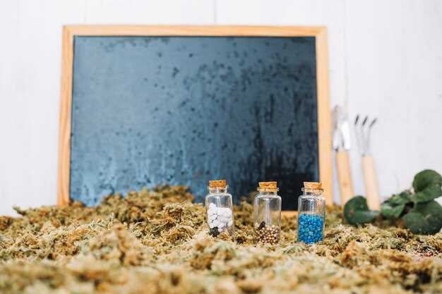 Причины и механизмы пучения грунта при низких температурах