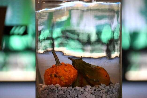 Освещение: виды ламп и их влияние на растения и рыб в аквариуме