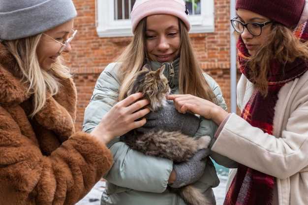 Методы обучения кошек: от звуковых сигналов до жестов