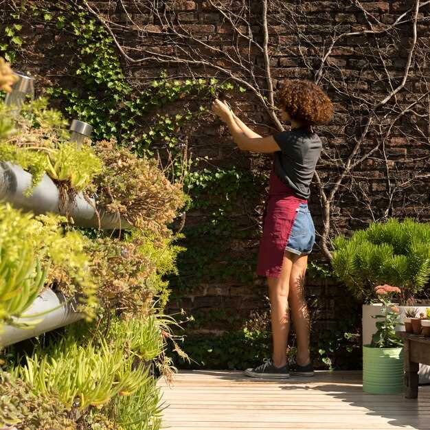 Материалы для построек: что выбрать для дачи в разных климатических условиях