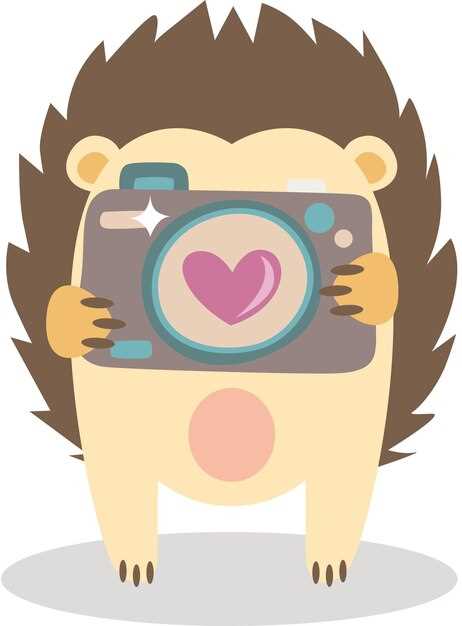 Как выбрать подходящую камеру для подростка: советы и рекомендации