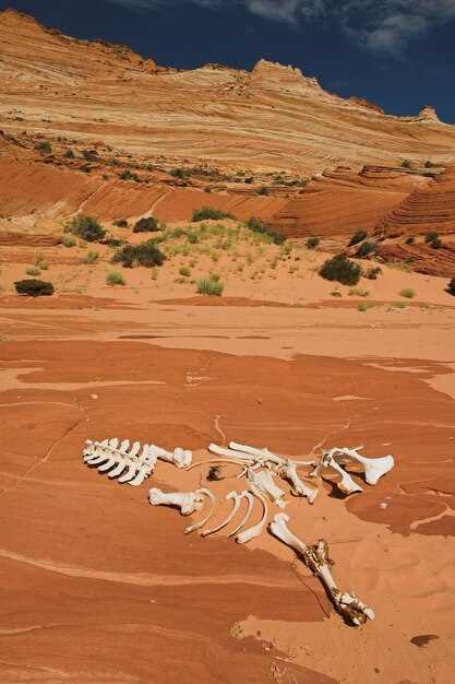 Какие меры защиты необходимы для сохранения океанической жизни?