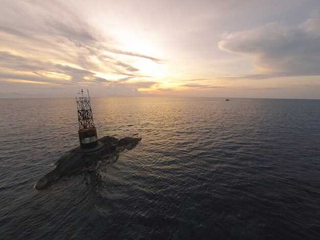 Экономические аспекты инвестирования в океанские энергетические проекты