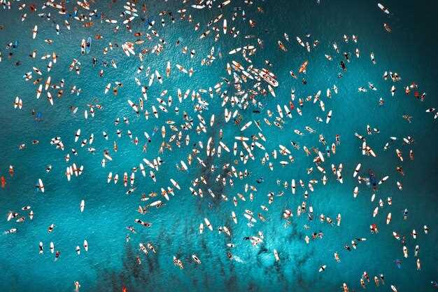 Основные маршруты миграции морских животных