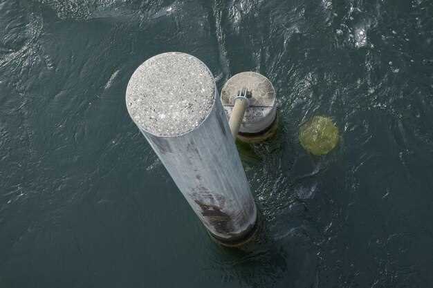 Экологические аспекты опреснения морской воды