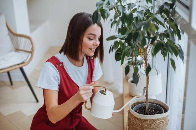 Как приготовить органическую подкормку из кухонных отходов
