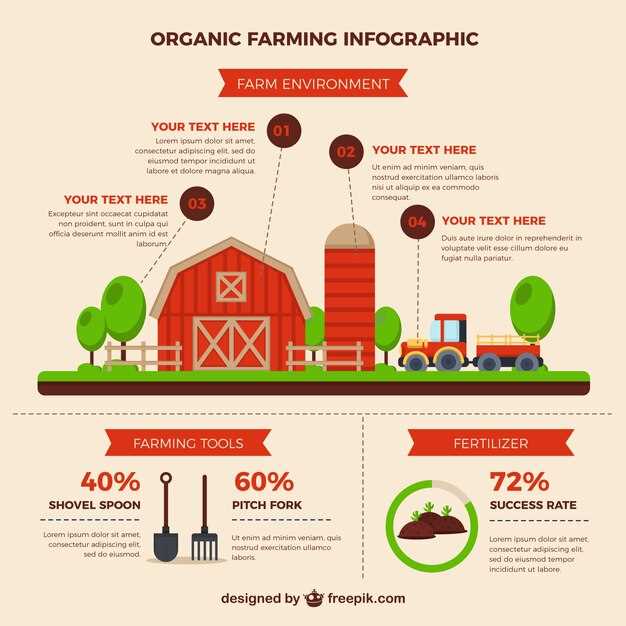 Пошаговое руководство по созданию грядок своими руками для начинающих