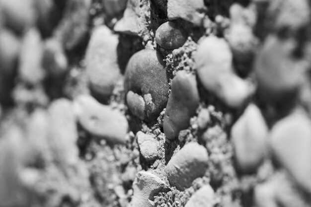 Химические реакции и продукты гидратации шлакопортландцемента