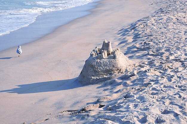 История открытия и география известных островов XX века