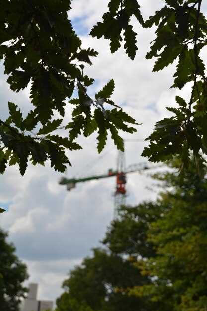 Методы озеленения: от формирования зеленых насаждений до создания экопарков