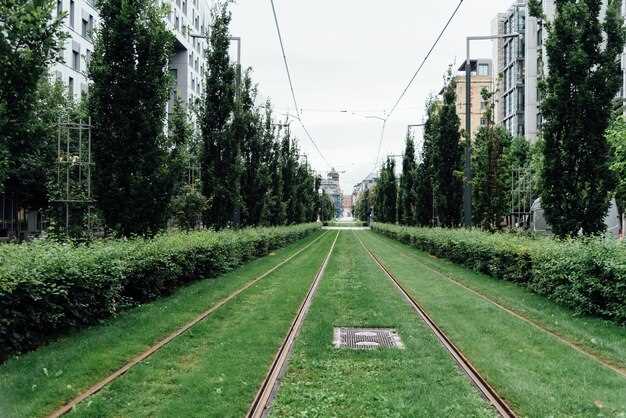 Выбор растений для озеленения промышленных зон: особенности и советы