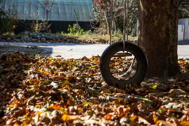 Опасности падения веток и смолы на автомобиле
