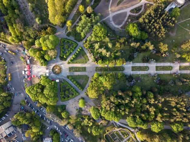 Перспективы развития парковочного пространства в условиях изменения климата