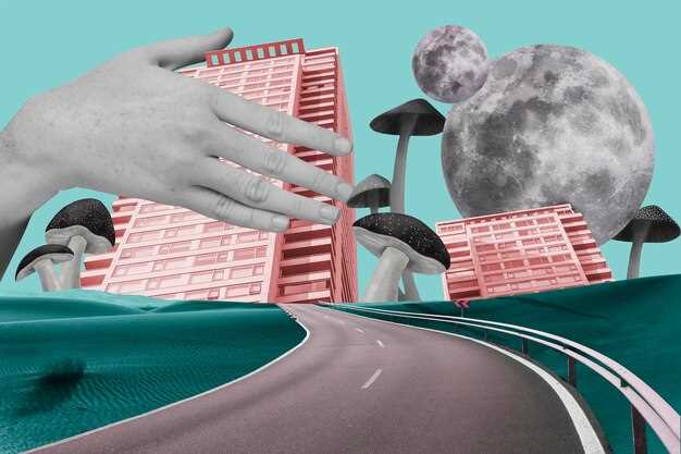 Примеры успешных проектов уличных художников на парковках