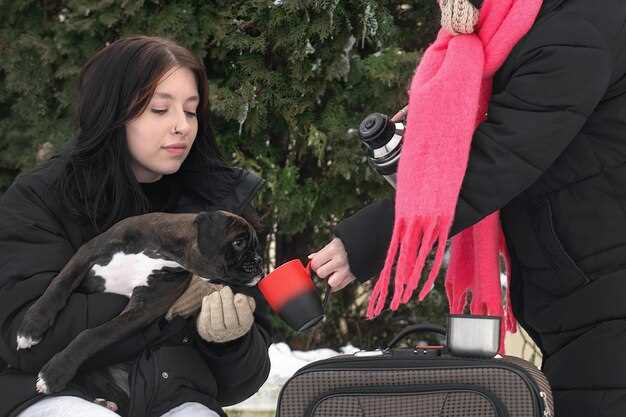 Как действовать при травмах у кошек