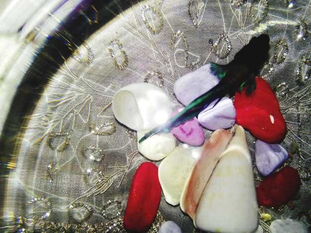 Классификация магматических пород и их геологическое значение