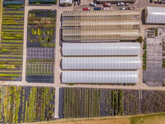 Определение оптимального размера теплицы для вашего рынка