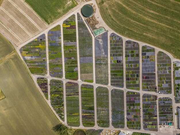 Финансовое моделирование и составление бюджета для старта бизнеса