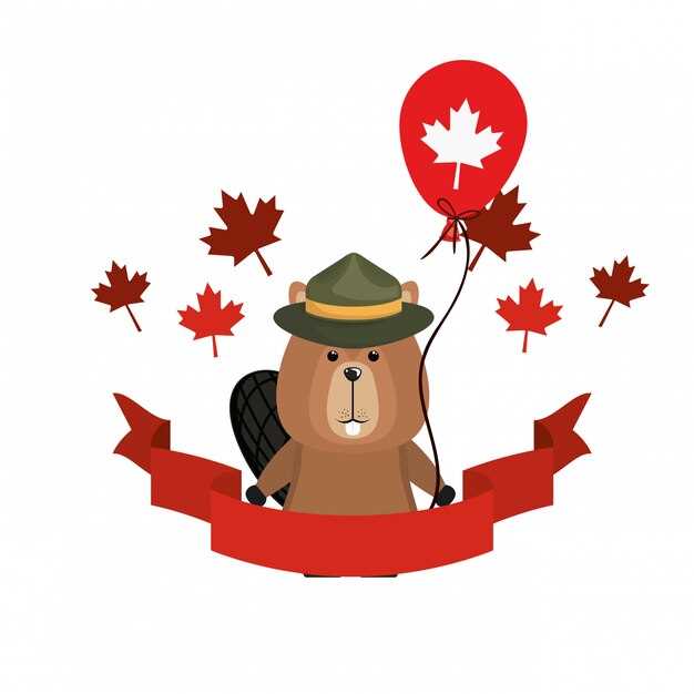 Детали дизайна и описание флага Канады