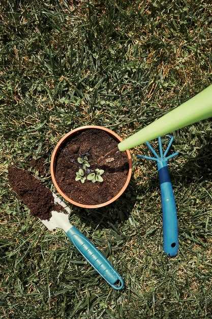 Ошибки при использовании почвенных смесей и как их избежать