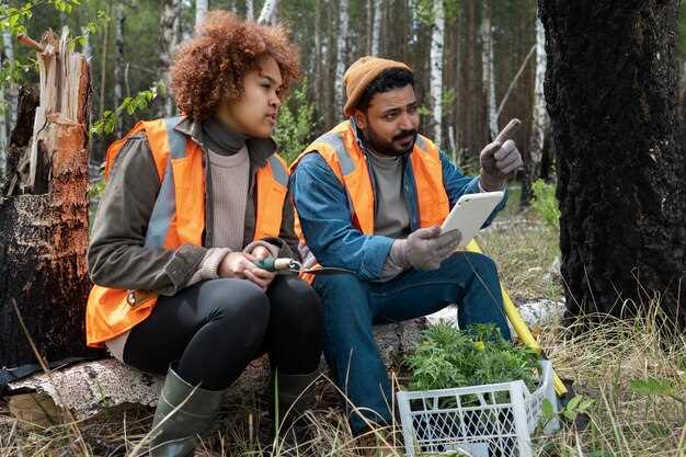 Выбор методов исследования грунтов для оценки устойчивости