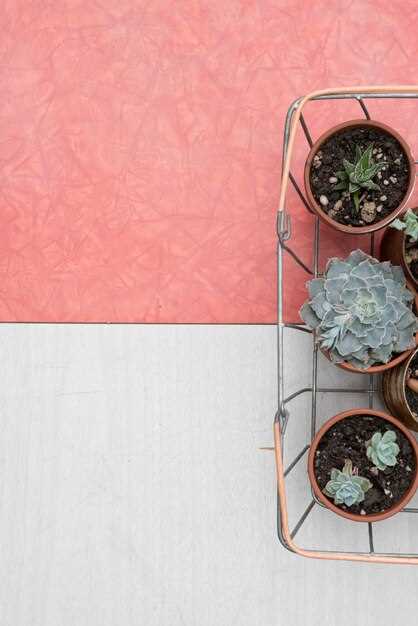 Пошаговое руководство: как сделать креативную подставку для горшков