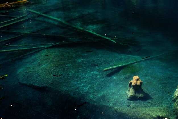 Методы исследования подводных гор и морского дна