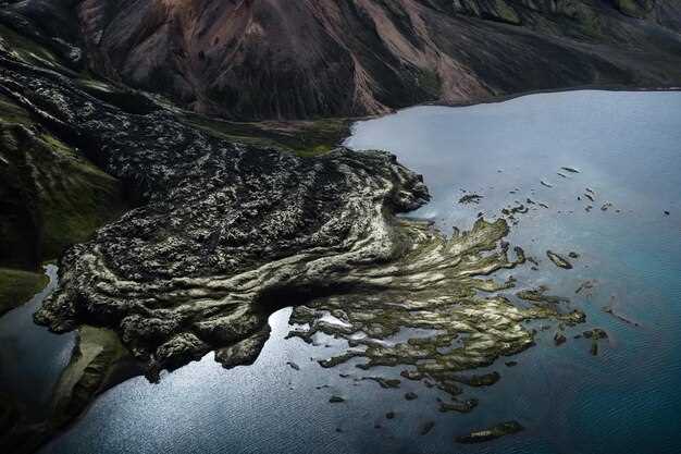 Типы подводных гор и их влияние на морскую экосистему